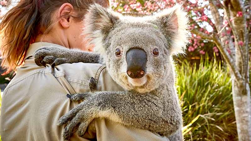 Symbio Wildlife Park, Helensburgh